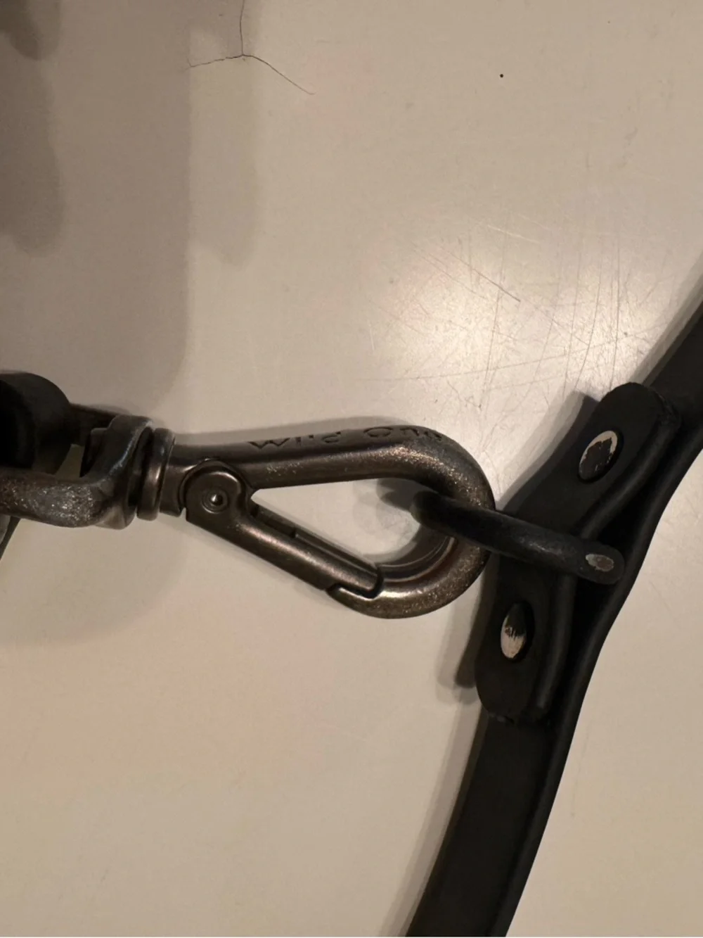 Wild One Black Waterproof Leash